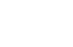 FinalPaliaLOGO simple W
